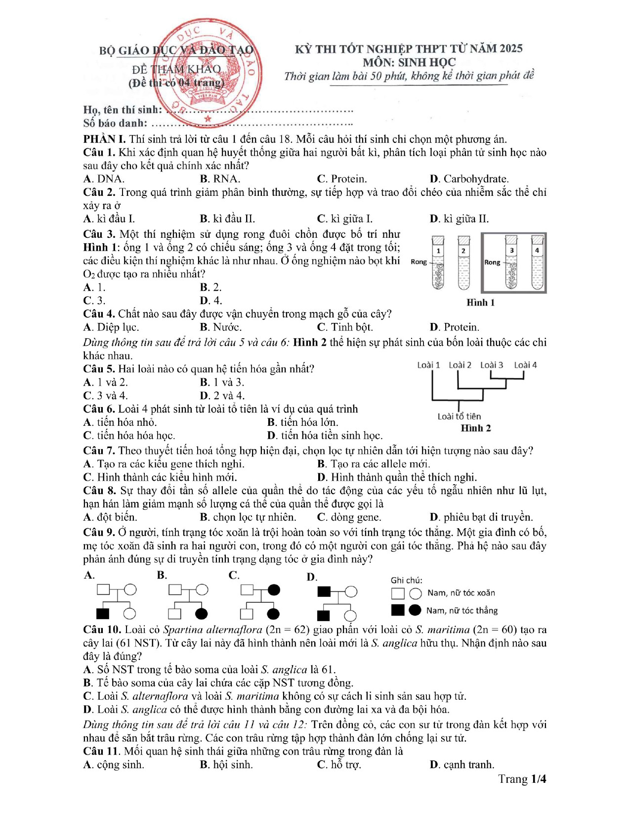 Đề minh họa tốt nghiệp THPT 2025 môn Sinh học (có đáp án) (ảnh 1)