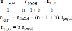 Công thức tính số mol OH- trong bài toán thủy phân peptit hay nhất – Hoá học lớp 12 (ảnh 1)
