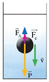 Quan sát hình, vẽ vecto lực cản của dầu tác dụng lên viên bi và mô tả chuyển động của viên bi khi được thả không vận tốc đầu vào dầu (ảnh 1)