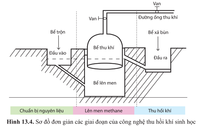 Chuyên đề Sinh học 10 Bài 13 (Cánh diều): Công nghệ ứng dụng vi sinh vật trong thu hồi khí sinh học và xử lí chất thải rắn  (ảnh 1)