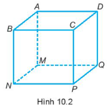 Sách bài tập Toán 7 Bài 36 (Kết nối tri thức): Hình hộp chữ nhật và hình lập phương (ảnh 1)