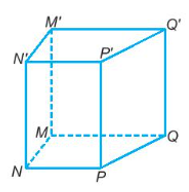 Sách bài tập Toán 7 Bài 37 (Kết nối tri thức): Hình lăng trụ đứng tam giác và hình lăng trụ đứng tứ giác (ảnh 1)