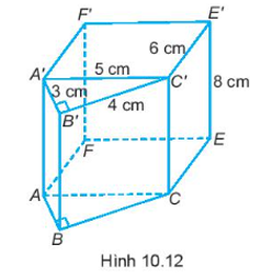 Sách bài tập Toán 7 Bài 37 (Kết nối tri thức): Hình lăng trụ đứng tam giác và hình lăng trụ đứng tứ giác (ảnh 1)