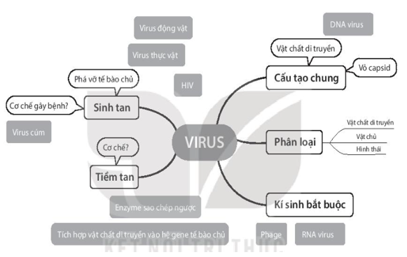 Sách bài tập Sinh học 10 Chương 7 (Kết nối tri thức): Virus (ảnh 1)