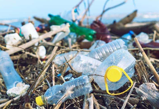 TOP 16 mẫu Nghị luận về Đồ dùng bằng nhựa - tiện ích và tác hại (2023) SIÊU HAY (ảnh 1)