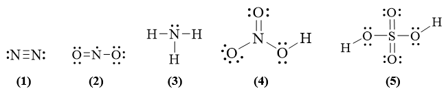 Sách bài tập Hóa 11 Bài 5 (Cánh diều): Một số hợp chất quan trọng của nitrogen (ảnh 1)