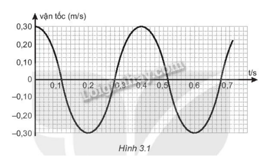 Sách bài tập Vật lí 11 Bài 3 (Kết nối tri thức): Vận tốc, gia tốc trong dao động điều hòa (ảnh 1)