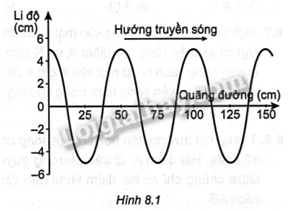 Sách bài tập Vật lí 11 Bài 8 (Kết nối tri thức): Mô tả sóng (ảnh 1)