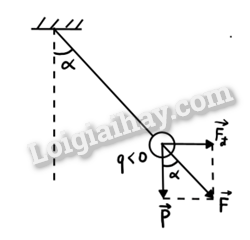 Sách bài tập Vật lí 11 Bài 17 (Kết nối tri thức): Khái niệm điện trường (ảnh 1)