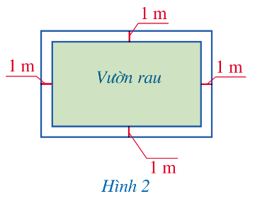 Toán 9 Bài 1 (Cánh diều): Phương trình quy về phương trình bậc nhất một ẩn (ảnh 1)