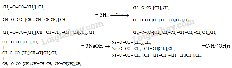 Giải Hóa 12 Bài 1 (Cánh diều): Ester - Lipid (ảnh 1)