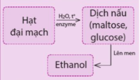 Giải Hóa 12 Bài 4 (Cánh diều): Tính chất hóa học của carbohydrate (ảnh 1)