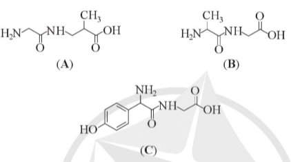 Giải Hóa 12 Bài 7 (Cánh diều): Peptide, protein và enzyme  (ảnh 1)