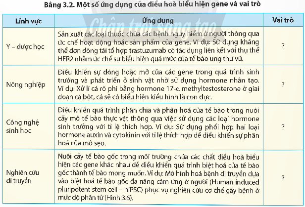 Giải Sinh học 12 Bài 3 (Chân trời sáng tạo): Điều hòa biểu hiện của gene (ảnh 1)