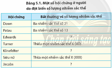 Giải Sinh học 12 Bài 5 (Chân trời sáng tạo): Nhiễm sắc thể và đột biến nhiễm sắc thể (ảnh 1)