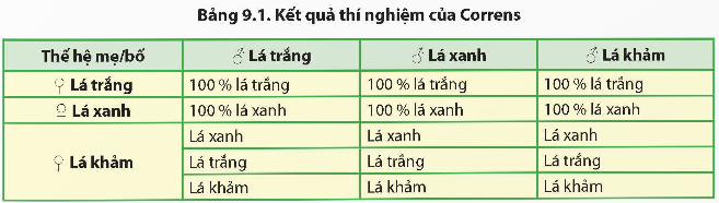 Giải Sinh học 12 Bài 9 (Chân trời sáng tạo): Di truyền gene ngoài nhân (ảnh 1)