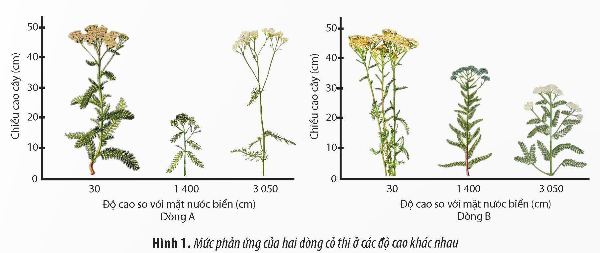 Giải Sinh học 12 (Chân trời sáng tạo) Ôn tập Chương 2 trang 84 (ảnh 1)