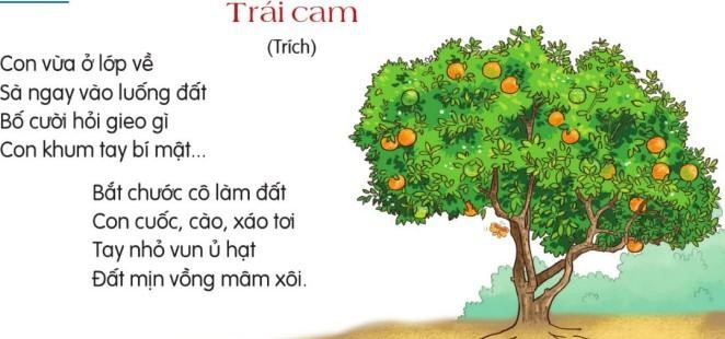 Bài 3: Có học mới hay (trang 36) Tiếng Việt lớp 5 Tập 1 – Cánh diều (ảnh 1)