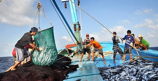 TOP 12 mẫu Vấn đề khai thác bảo vệ nguồn lợi hải sản trong phát triển kinh tế biển của nước ta (2024) SIÊU HAY (ảnh 1)