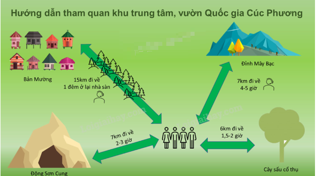 TOP 10 mẫu Viết văn bản quảng cáo hoặc tờ rơi về một sản phẩm hay một hoạt động (2024) SIÊU HAY (ảnh 1)