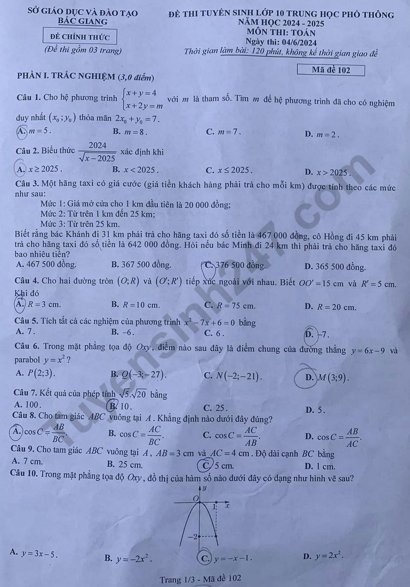 Đề thi vào 10 môn Toán chính thức Tỉnh Bắc Giang (2024 - 2025) mới nhất kèm đáp án (ảnh 1)