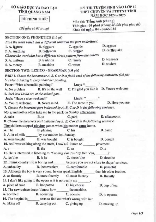 Đề thi vào 10 môn Tiếng Anh chính thức Tỉnh Lào Cai (2024 - 2025) mới nhất kèm đáp án  (ảnh 1)