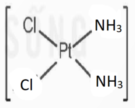 Chuyên đề Hóa 12 Bài 8 (Kết nối tri thức): Liên kết và cấu tạo của phức chất (ảnh 1)