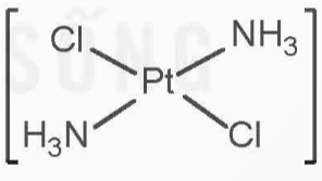 Chuyên đề Hóa 12 Bài 8 (Kết nối tri thức): Liên kết và cấu tạo của phức chất (ảnh 1)