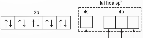 Chuyên đề Hóa 12 Bài 8 (Kết nối tri thức): Liên kết và cấu tạo của phức chất (ảnh 1)