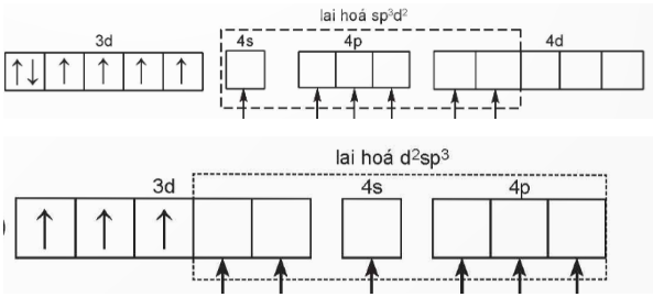 Chuyên đề Hóa 12 Bài 8 (Kết nối tri thức): Liên kết và cấu tạo của phức chất (ảnh 1)