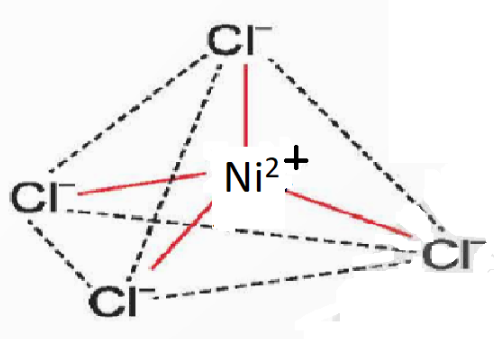 Chuyên đề Hóa 12 Bài 8 (Kết nối tri thức): Liên kết và cấu tạo của phức chất (ảnh 1)