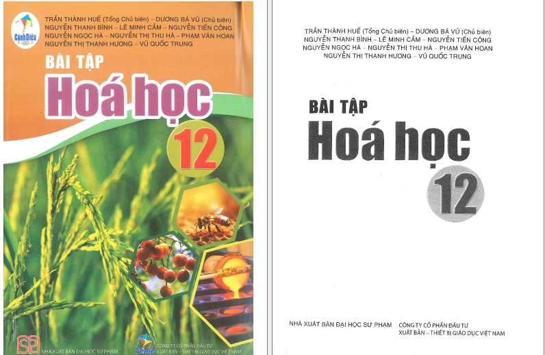 Sách bài tập Hóa 12 Cánh diều pdf | Xem online, tải PDF miễn phí (ảnh 1)