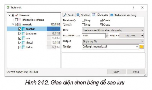 Lý thuyết Tin học 11 Bài 24 (Kết nối tri thức): Thực hành sao lưu dữ liệu (ảnh 1)