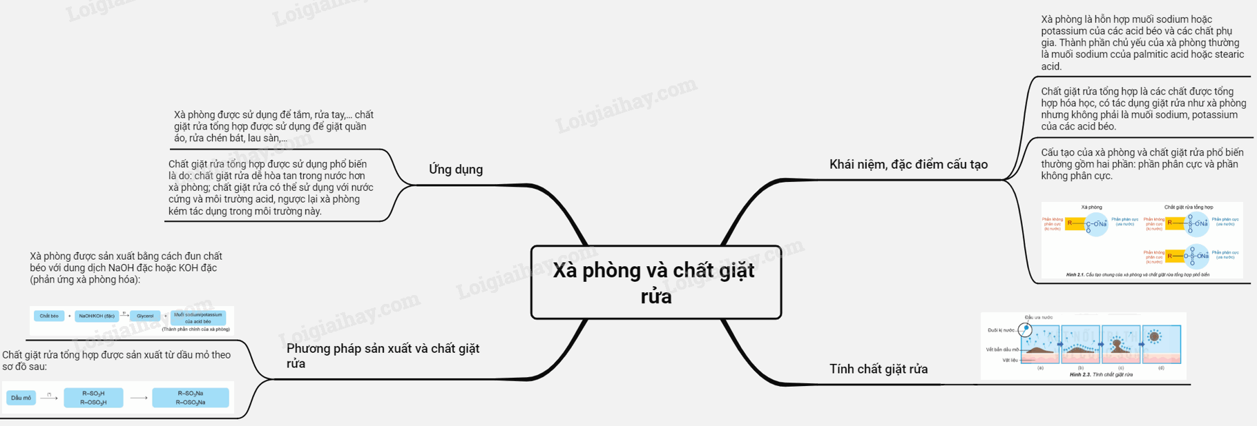 Sách bài tập Hóa 12 Bài 2 (Chân trời sáng tạo): Xà phòng và chất giặt rửa (ảnh 1)