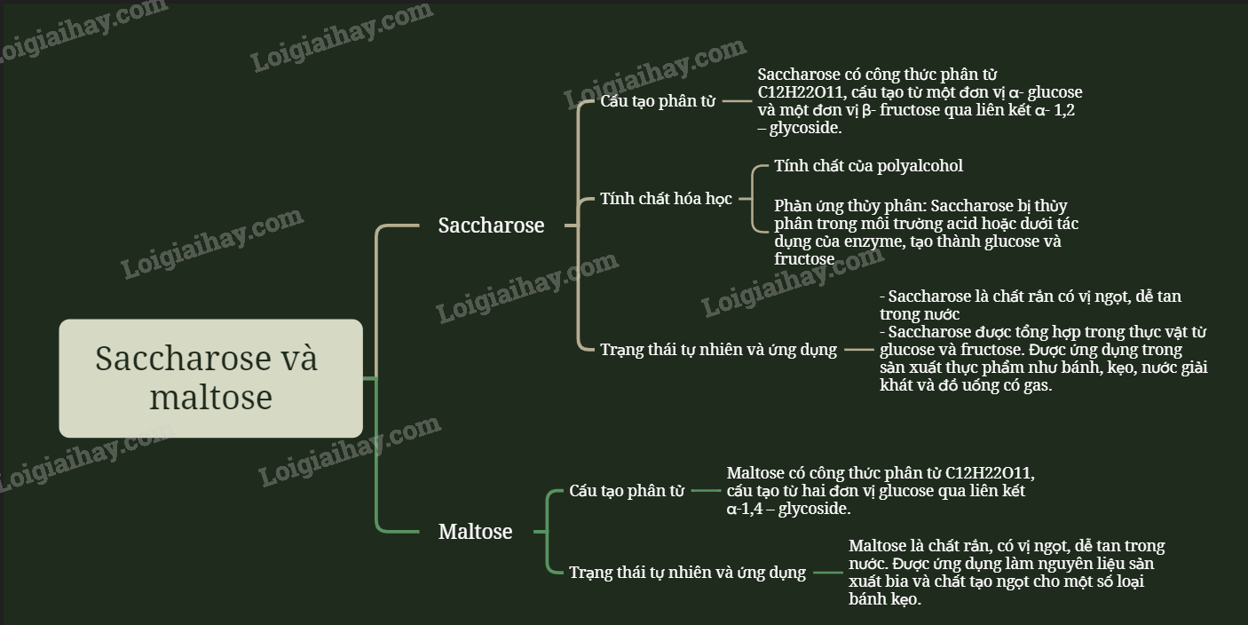 Sách bài tập Hóa 12 Bài 4 (Chân trời sáng tạo): Saccharose và maltose (ảnh 1)