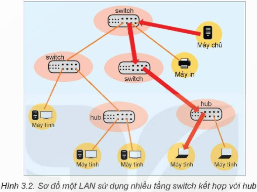 Lý thuyết Tin học 12 Bài 3 (Kết nối tri thức): Một số thiết bị mạng thông dụng (ảnh 1)