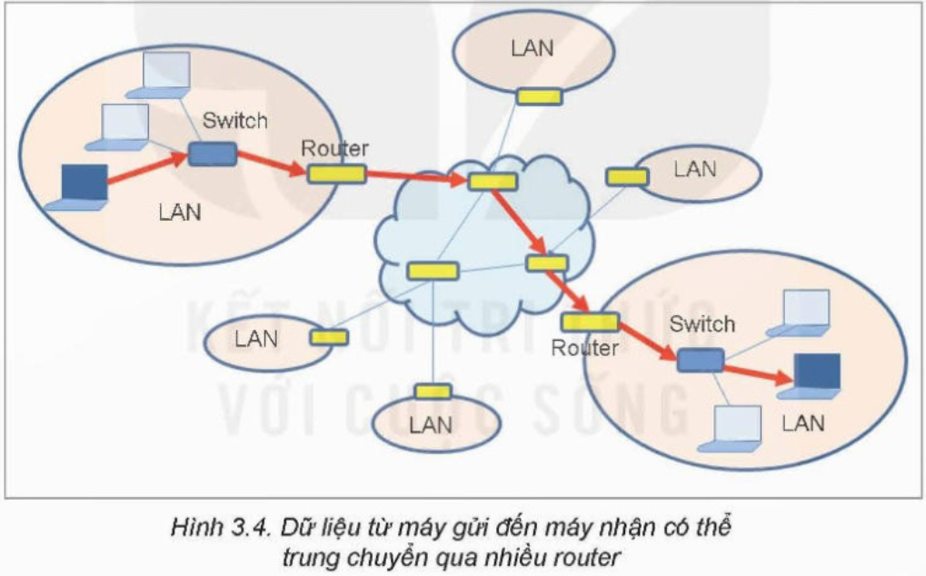 Lý thuyết Tin học 12 Bài 3 (Kết nối tri thức): Một số thiết bị mạng thông dụng (ảnh 1)