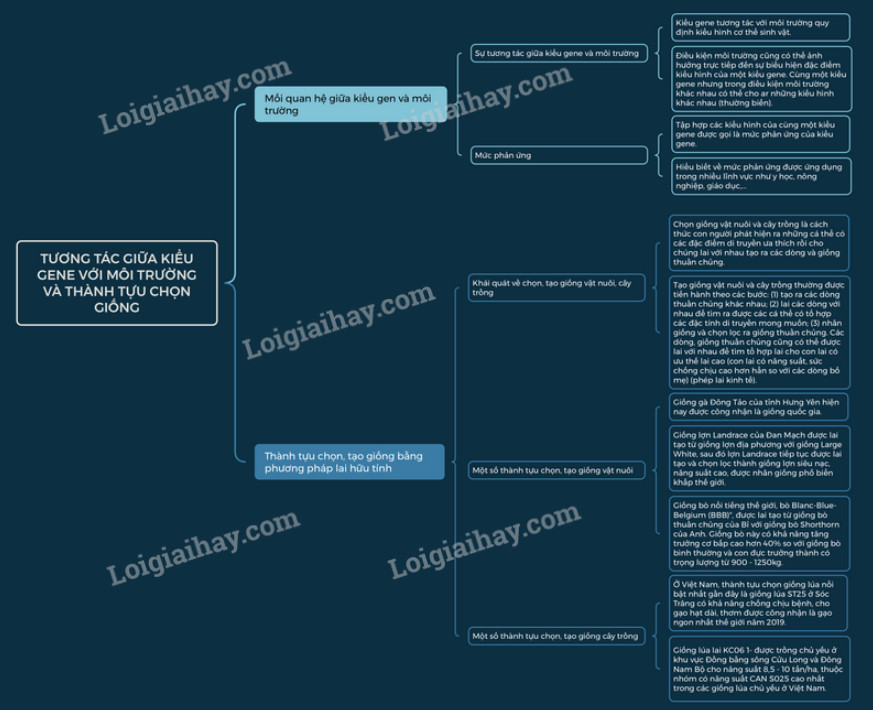 Lý thuyết Sinh học 12 Bài 16 (Kết nối tri thức): Tương tác giữa kiểu gene với môi trường và thành tựu chọn giống (ảnh 1)