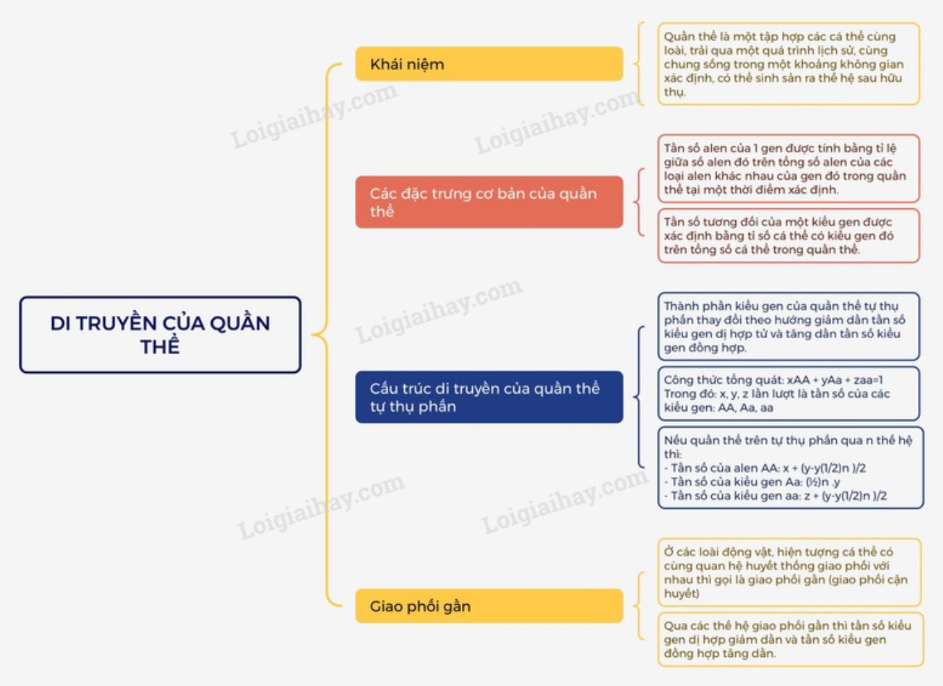 Lý thuyết Sinh học 12 Bài 18 (Kết nối tri thức): Di truyền quần thể (ảnh 1)