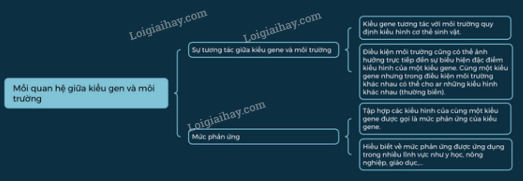 Lý thuyết Sinh học 12 Bài 10 (Cánh diều): Mối quan hệ giữa kiểu gene, môi trường và kiểu hình (ảnh 1)