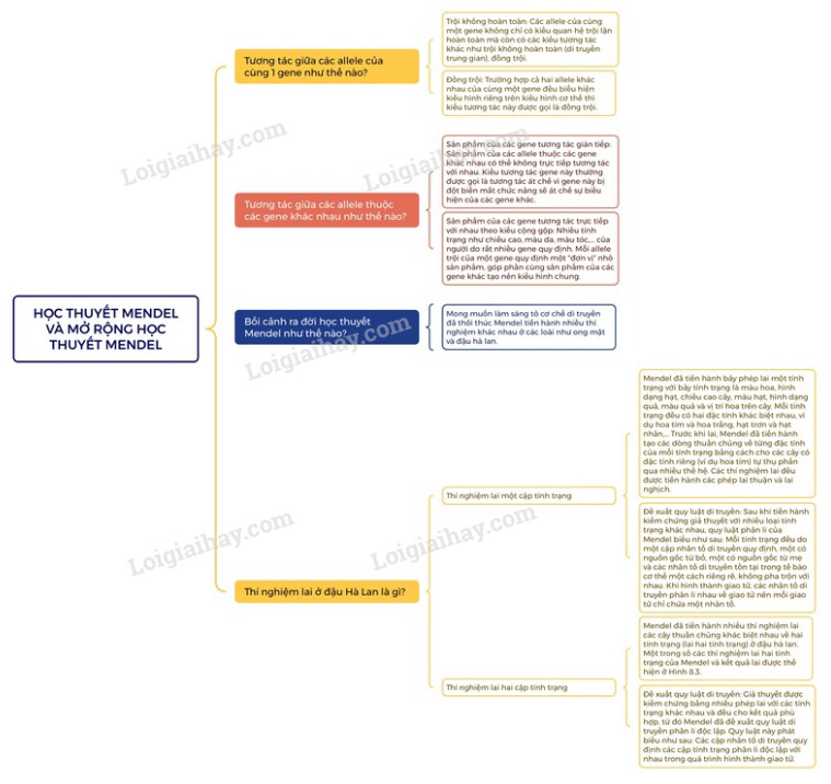 Lý thuyết Sinh học 12 Bài 6 (Chân trời sáng tạo): Di truyền học Mendel và mở rộng học thuyết Mendel (ảnh 1)