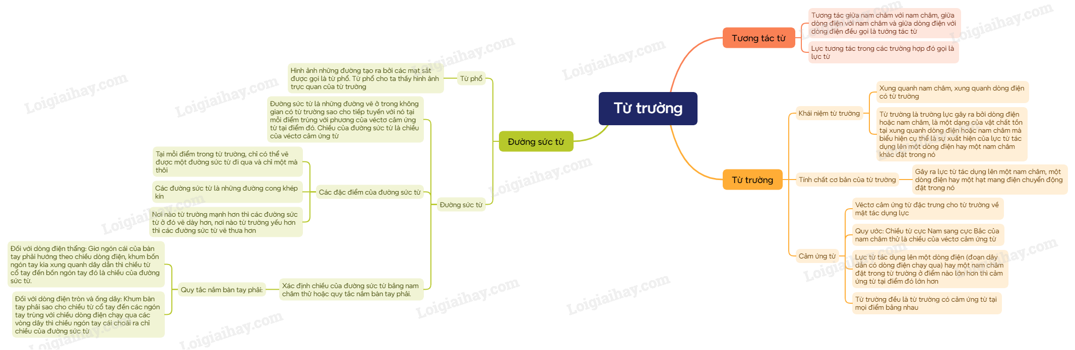 Lý thuyết Từ trường - Vật lí 12 Kết nối tri thức (ảnh 1)