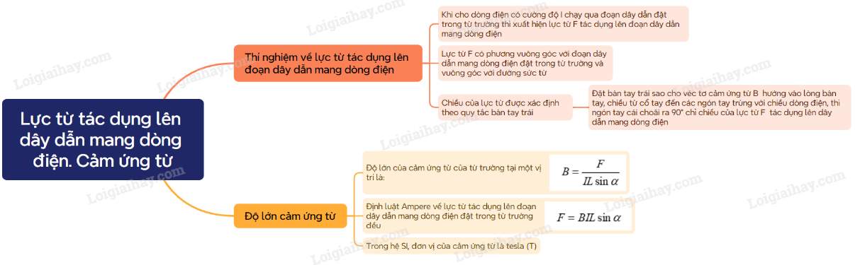 Lý thuyết Lực từ tác dụng lên dây dẫn mang dòng điện. Cảm ứng từ - Vật lí 12 Kết nối tri thức (ảnh 1)