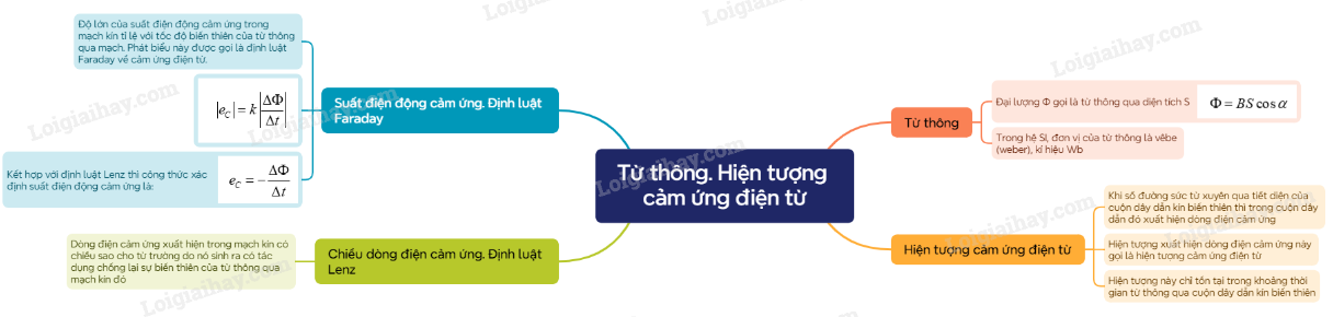 Lý thuyết Từ thông. Hiện tượng cảm ứng điện từ - Vật lí 12 Kết nối tri thức (ảnh 1)