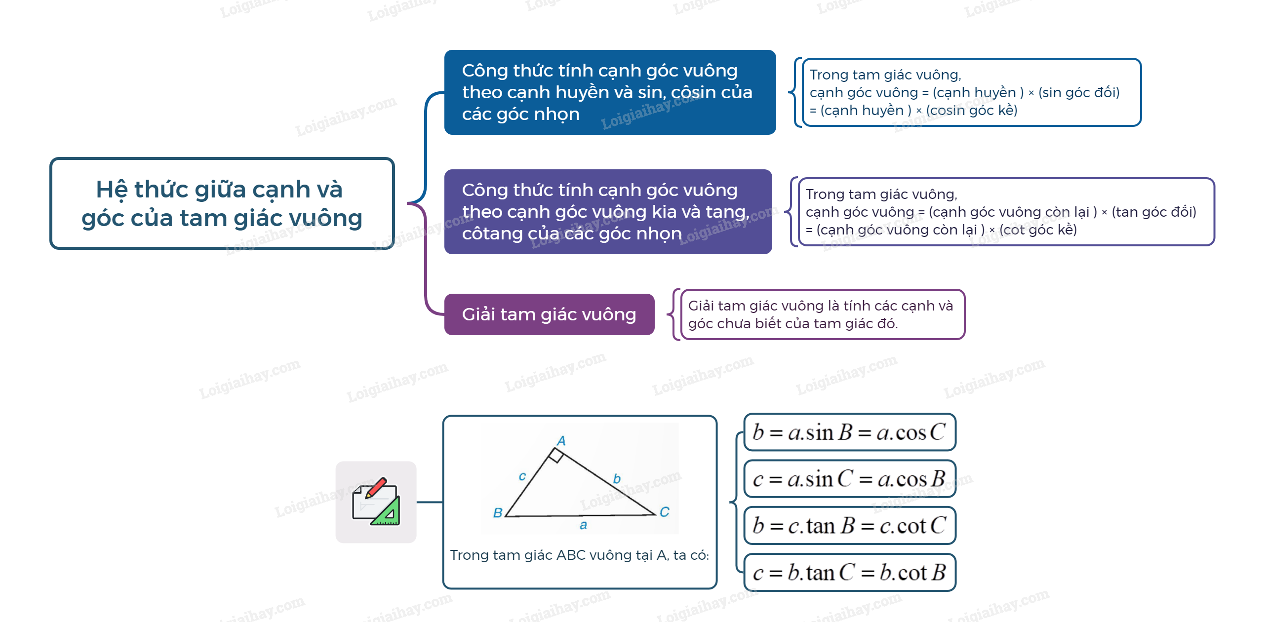 Lý thuyết Hệ thức giữa cạnh và góc của tam giác vuông - Toán 9 Chân trời sáng tạo (ảnh 1)