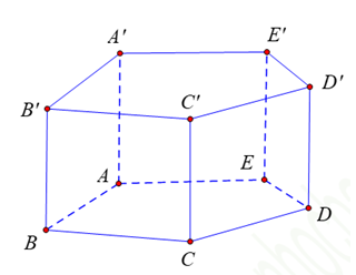 Hình lăng trụ là gì? Lăng trụ đứng là gì, lăng trụ đều là gì? Tính chất và công thức hình lăng trụ (ảnh 1)