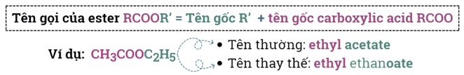 Khái niệm - Đồng phần - Danh pháp Ester | Chuyên đề dạy thêm Hoá học 12 (chương trình mới) (ảnh 1)