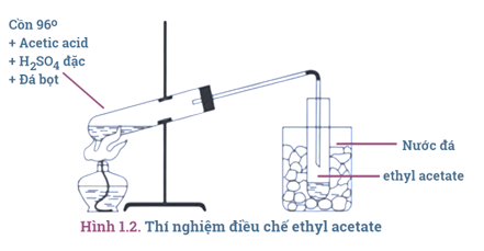 Tính chất - Ứng dụng - Điều chế Ester | Chuyên đề dạy thêm Hoá học 12 (chương trình mới) (ảnh 1)