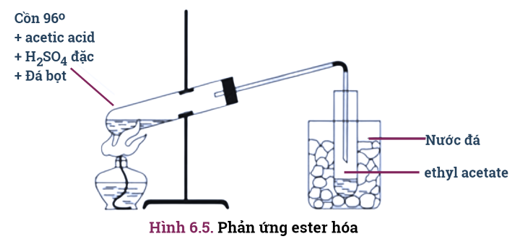 Tính chất - Ứng dụng - Điều chế Ester | Chuyên đề dạy thêm Hoá học 12 (chương trình mới) (ảnh 1)