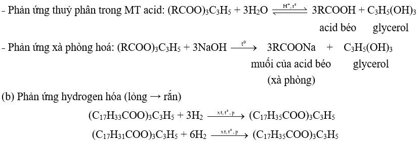 Lipid | Chuyên đề dạy thêm Hoá học 12 (chương trình mới) (ảnh 1)